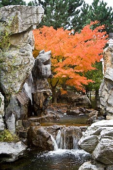 hmux_IMG_4409.jpg - 89992 Bytes