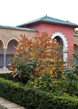 hmux_IMG_4448.jpg - 79458 Bytes